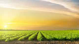 Във време когато цените на акциите падат и инфлацията расте