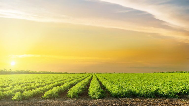 Изображение 366846