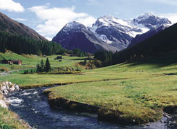 МОСВ свика протестиращите срещу НАТУРА 2000 общини