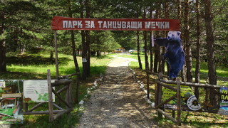 Германски лекари преглеждат обитателите на Парка за танцуващи мечки в Белица