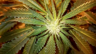 24 часа Трета мисия на ЮНЕСКО Няма опасност за природата