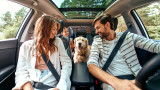 Кучета, пътуване с кола и каква музика обичат да слушат, докато са на път