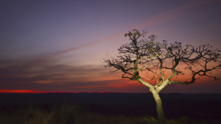 Зимбабве обяви бедствено положение заради сушата