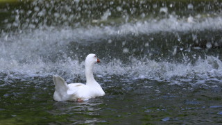 Днес ще бъде слънчево След обяд над планинските райони и