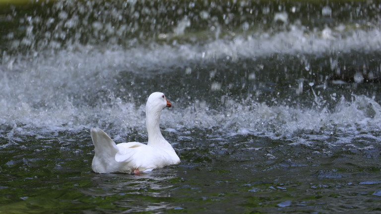 Изображение 628546