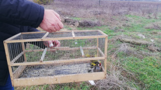Експерти от Регионалната инспекция по околната среда и водите