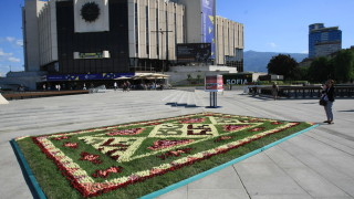 Проектът Жив килим от български рози под звуците на Балканите