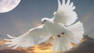 Православната църква празнува Свети Дух Празникът е свързан по смисъл с