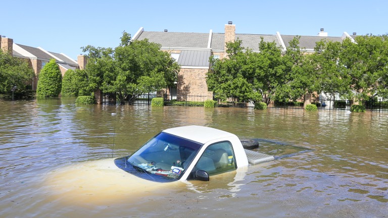 Изображение 310247