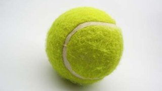 Кукушкин ляга под ножа