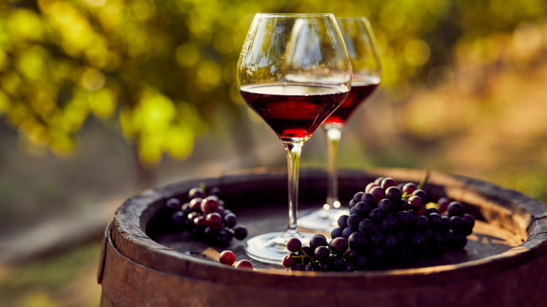 Десетте най-големи производители на вино в България осигуряват работа на