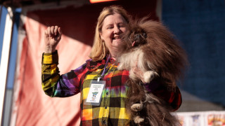 Осемгодишният пекинез с име Уайлд Танг беше коронован за победител