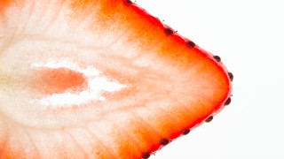 Оралният секс в моногамни двойки или такива с постоянни партньори