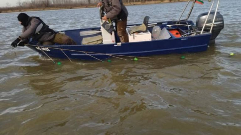 Изображение 601747