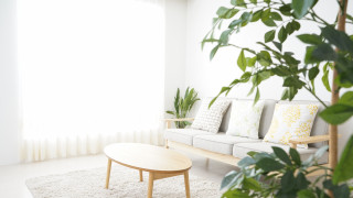 Откриха Цeнтъp зa ĸpизиcнo нacтaнявaнe нa бeздoмни хора в Дупница