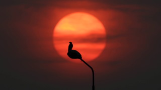 Днес ще е слънчево В сутрешните часове в отделни райони