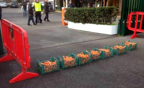 Тифозите на Рома "нахраниха" отбора с 50 кила моркови