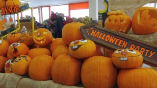 31 октомври 2021 г В този ден вие може умислено