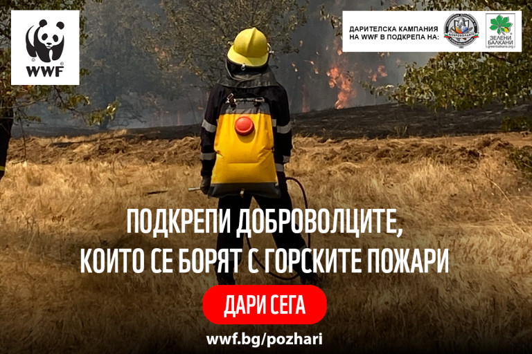 Подкрепа никога не е излишна