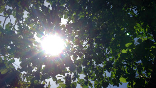Прогнозата за днешния 17 август е за слънчево време