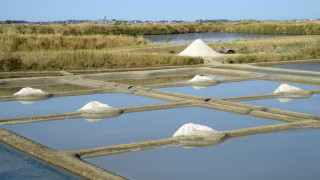 Една от големите заплахи пред черноморските солници е ниската продукция