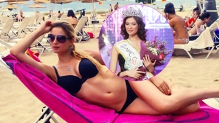 Новата миска се озъби на Лудия репортер