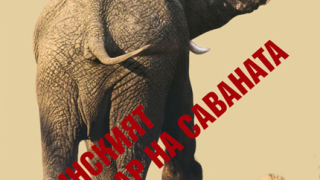 Юлиан Генов ни развежда из африканската джунгла