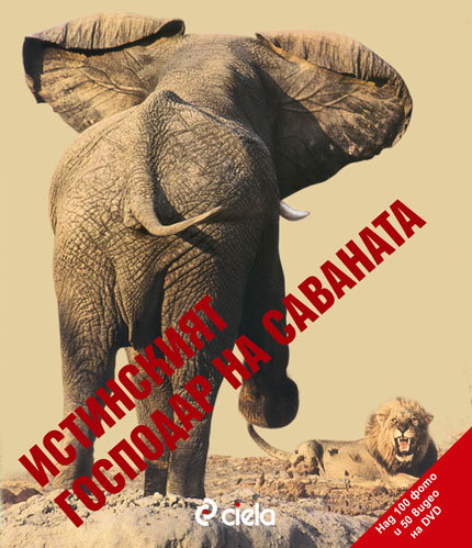 Юлиан Генов ни развежда из африканската джунгла