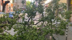 150 сигнала за щети след снощния порой в София