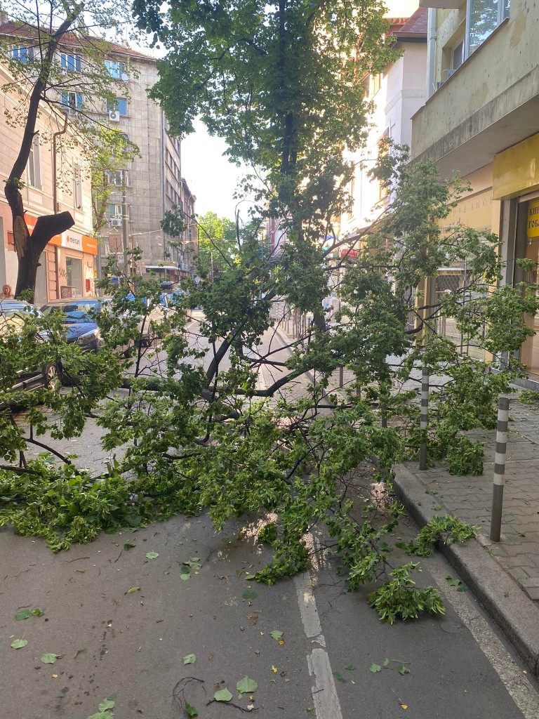 Снимка 573947