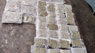 31 кг марихуана за 250 хил. евро: Задържаха петима за контрабанда на наркотици