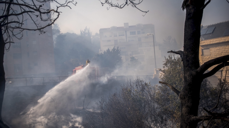 Местен клон на "Ал Кайда" пое отговорност за пожарите в Израел 