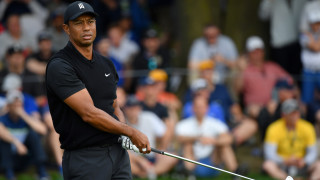 След като в началото на годината Тайгър Уудс претърпя катастрофа