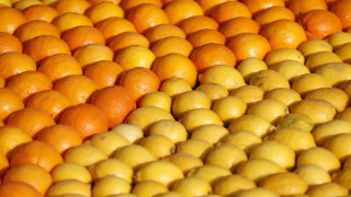 Турция ограничи износа на лимони
