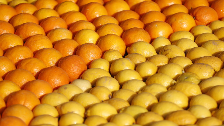 Турция ограничава износа на лимони заради нарастващото вътрешно търсене в