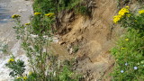 Мандра изпуснала суроватка във водите на река Черна