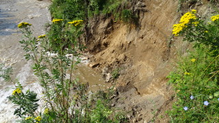 Мандра изпуснала суроватка във водите на река Черна