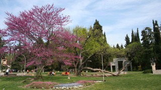 Слънчев петък, затопля се