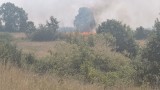 Горски служител пострада при пожар над Белово