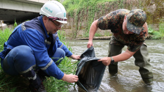 Националната електрическа компания НЕК извърши успешно зарибяване на река Черна