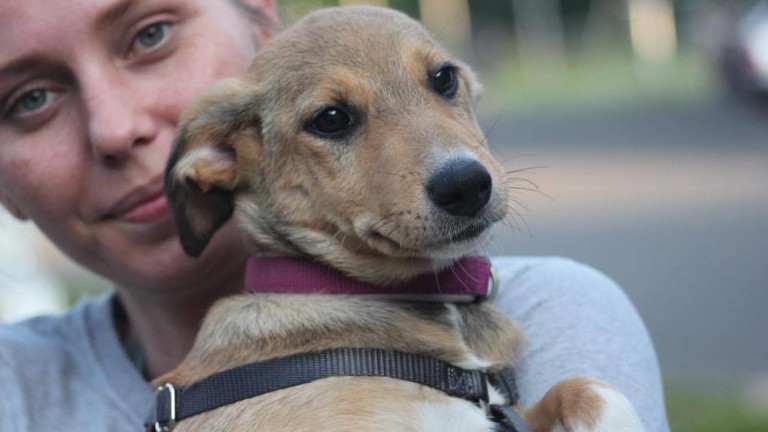 Изображение 466247