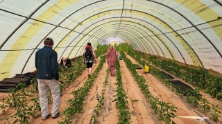 Сахара означава пустиня на арабски Сахрави е човек от пустинята