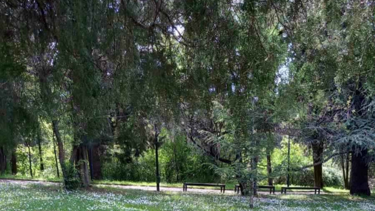 Изображение 747047