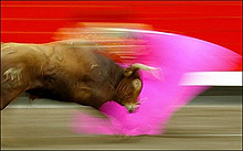 Каталуния забрани коридата