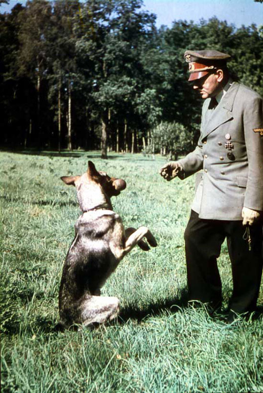 Нацистите учели кучетата да говорят