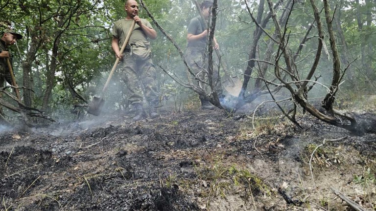 Изображение 627847