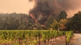 Пожар доведе до евакуация на хиляди хора в Южна Калифорния
