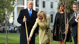 Дървото посадено от френския президент Еманюел Макрон и американския лидер