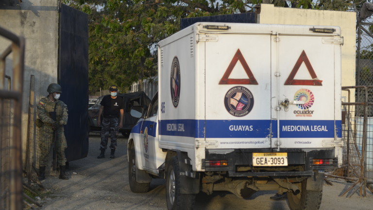 Изображение 548447