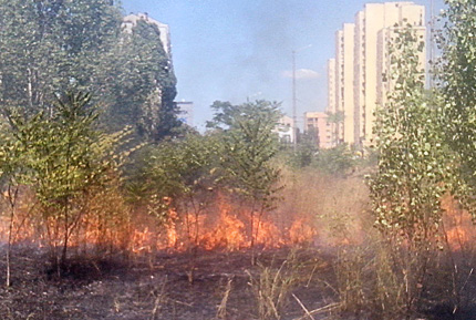 Подпалиха градинката до МВР болница